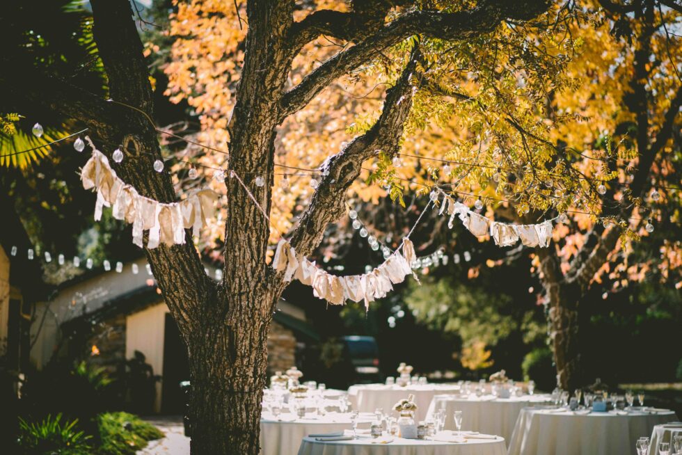 decorations for a garden party