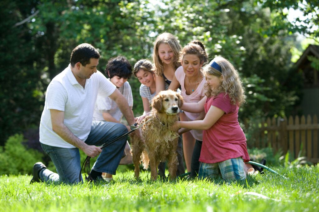 family photography with dog
