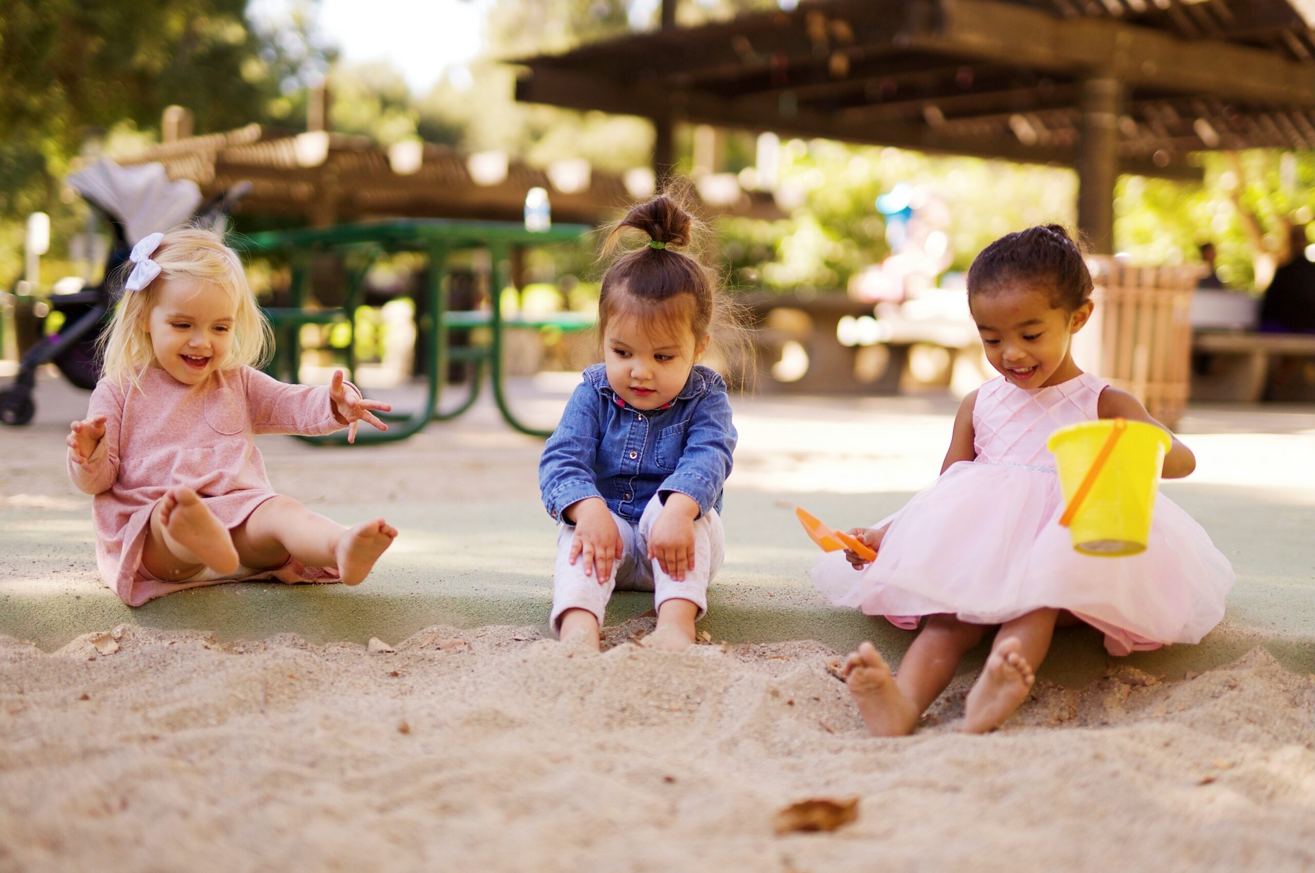 kids at the park