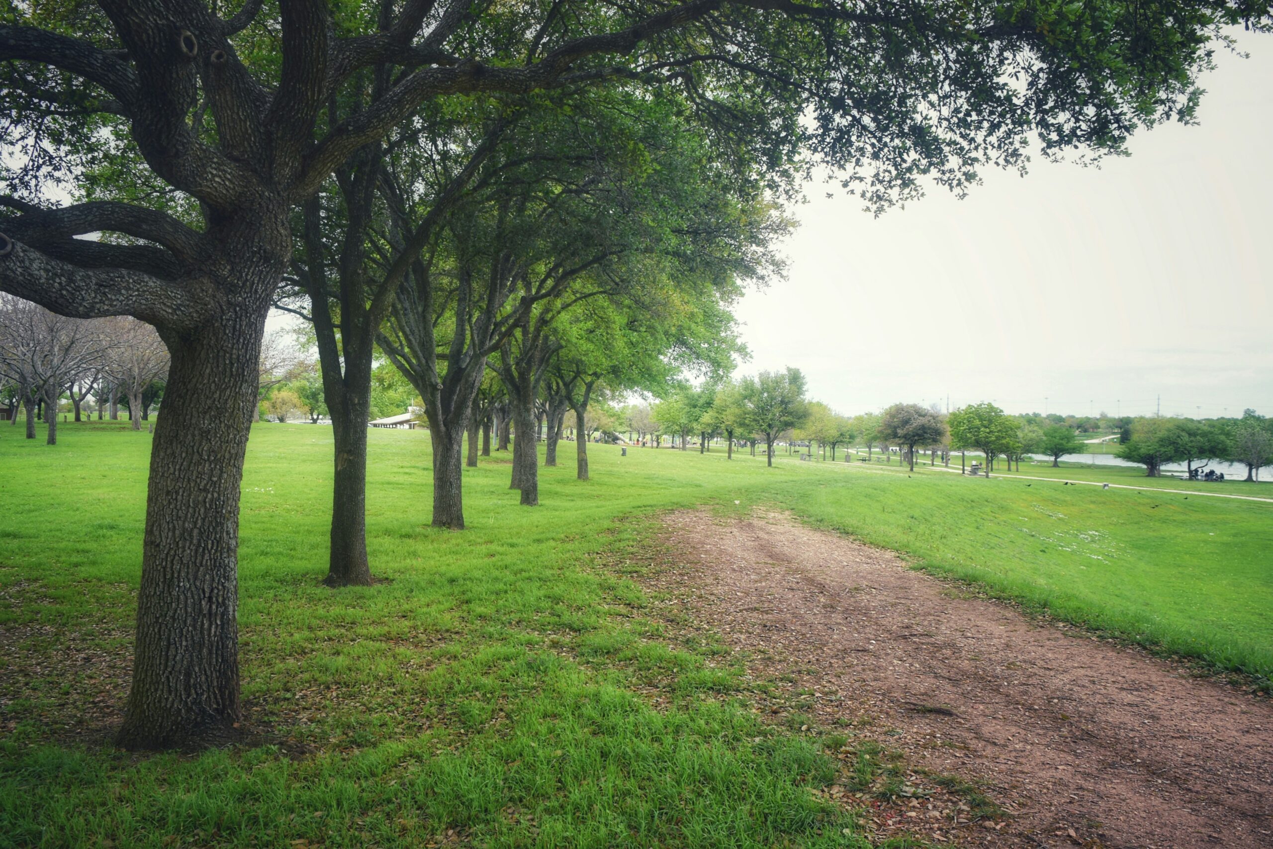 old settlers park Austin Texas