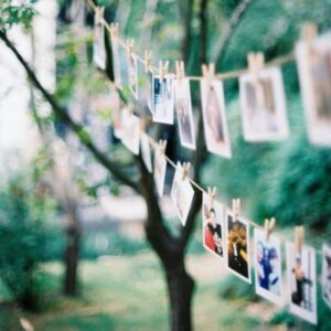 family photo clothesline summer family reunion