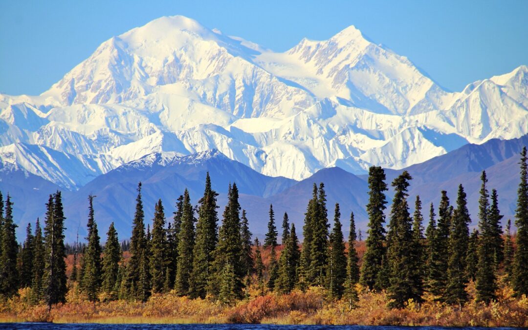 Finding My Roots: Family Travel Stories in Alaska